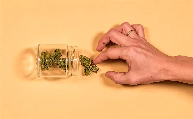 Cannabinoids: What are They and How You Can Use Them