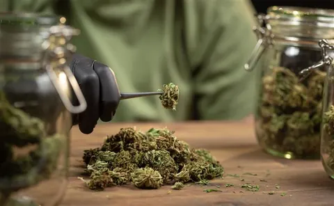 First Time at a Dispensary? Here’s What to Expect