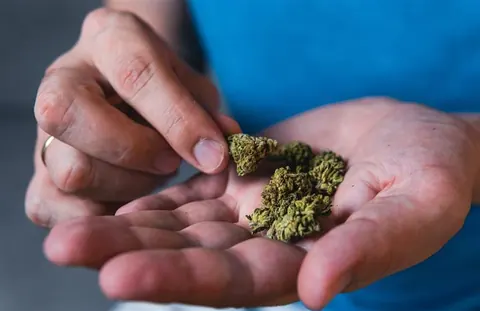 Cannabis Effects on the Body and Sleep Explained
