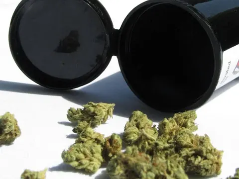 Cannabinoids Explained: How to Choose the Right Cannabis Product Mix for You