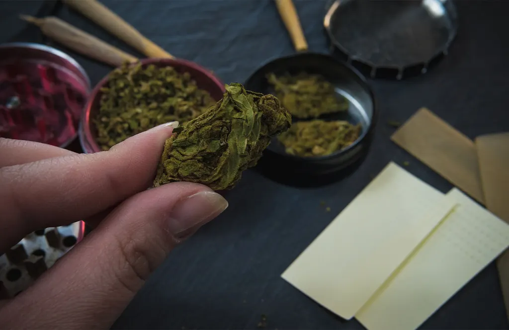 Pre-Rolls, Flower, or Edibles? Choosing the Right Product for You