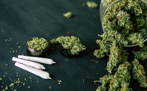 Navigating Cannabis Products: What’s the Best Fit for You?