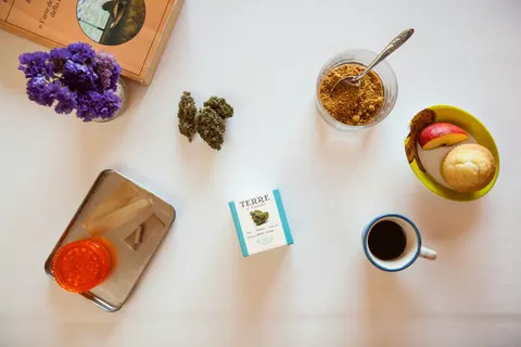 What Are Cannabis Terpenes And Why Do They Matter?